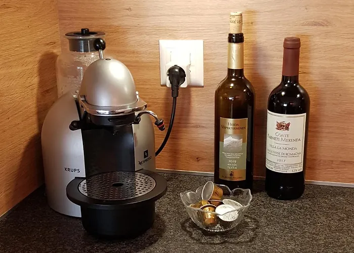 Apartment Modernes Wohlfühlstudio Im Haus Eldorado Mit Traumaussicht Leukerbad