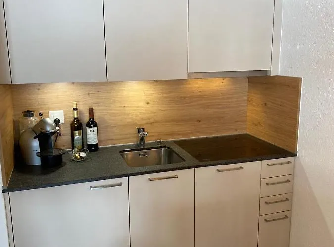 Modernes Wohlfühlstudio Im Haus Eldorado Mit Traumaussicht *